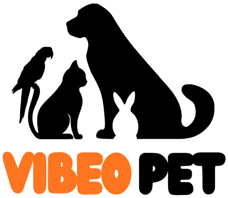 vibeopet